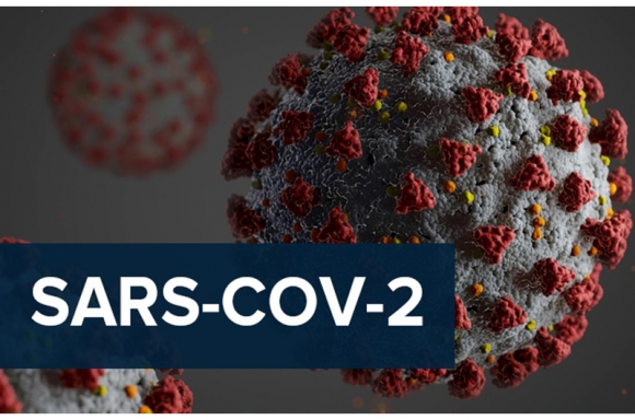 1 Chuyen Gia Khuyen Cao The Gioi Co The Xuat Hien Sieu Bien Chung Corona Virus Moi