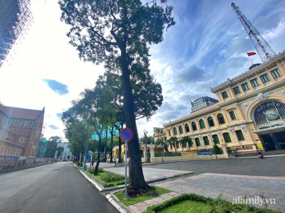 3 Tphcm Vang Nhu Mung 1 Tet Trong Ngay Dau Gian Cach