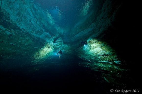 3 Uc Ho Khong Day Xuat Hien Giua Dong 8 Nguoi Chui Xuong Chi Mot Nua Song Sot