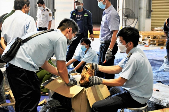 4 Hai Quan Da Nang Bat Container Sung Te Giac Xuong Dong Vat Nup Bong Go Nam Phi