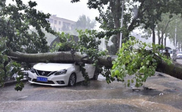 9 Hang Tram Oto Bi Nuoc Cuon Troi Nhu La Trong Tran Lu Lich Su Tai Trung Quoc