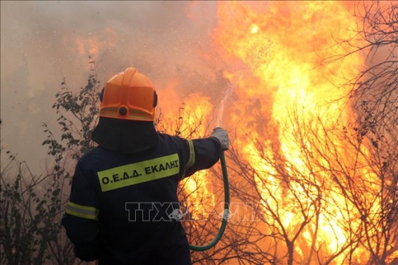 3 Sau Lu Lut Chau Au Lai Chim Trong Nang Nong Ky Luc Va Chay Rung Du Doi