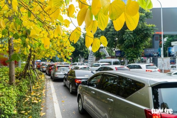 5 Da Co Giay Di Duong Sao Con Doi Lich Truc Lich Lam Viec Phan Cong Nhiem Vu