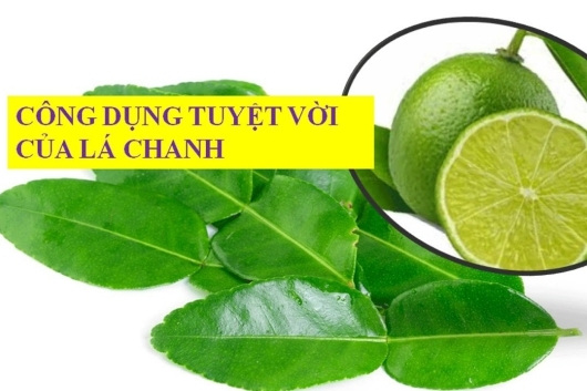 7 tác dụng tuyệt vời của lá chanh với sức khỏe