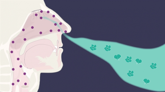 Các biện pháp tại nhà để lấy lại khứu giác một cách tự nhiên dành cho người mắc Covid-19