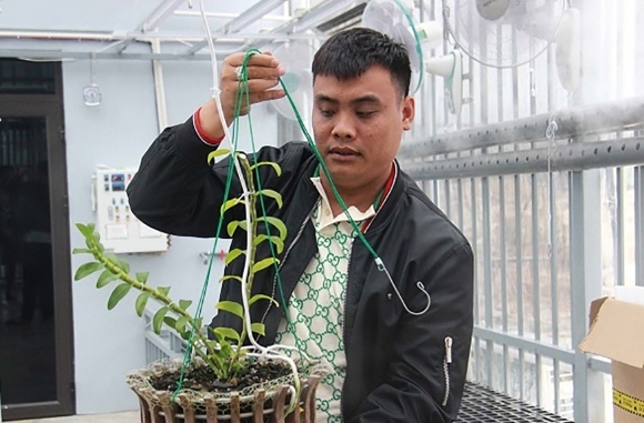 1 Hai Dai Gia Lan Dot Bien Thu Loi Tram Ty Dong Tu Khai Thac Than Lau