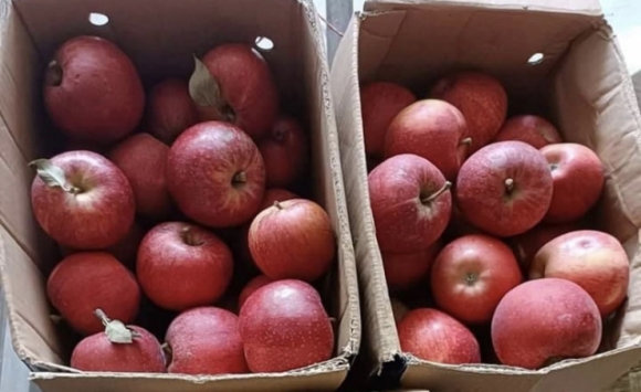 1 Tao Da Trung Quoc Tran Ngap Thi Truong Gia Re Nhu Rau