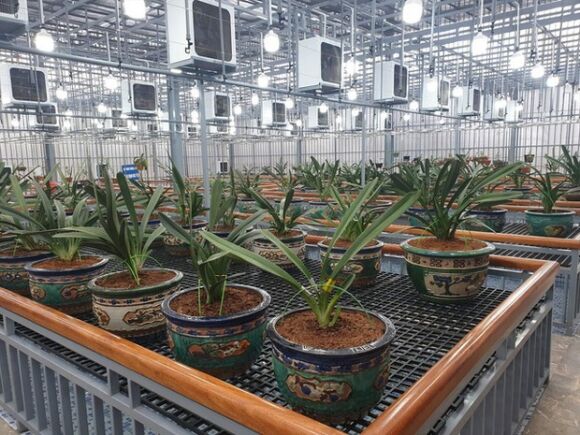 2 Vu Bat Anh Em Dai Gia Lan Dot Bien O Quang Ninh Phanh Phui The Gioi Ngam Than Lau