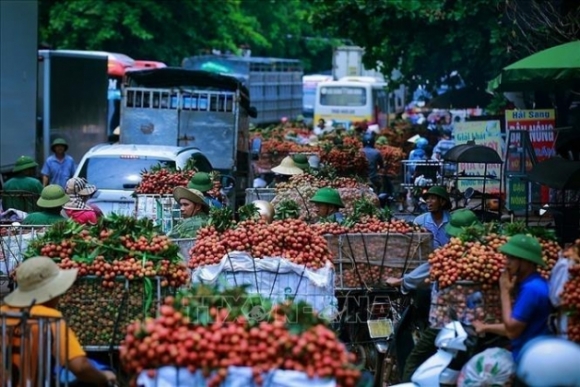 10 Vi The Cua Viet Nam Ngay Cang Duoc Nang Cao Tren Truong Quoc Te