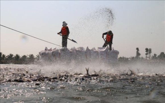 12 Vi The Cua Viet Nam Ngay Cang Duoc Nang Cao Tren Truong Quoc Te