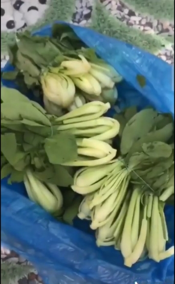 5 Doi Vo Chong Tu Choi Nhan Rau Xanh Tuoi Cam Ca Tui Nem Ra Cua Ho Tro Vay Thi An Gi Xach Ve Di
