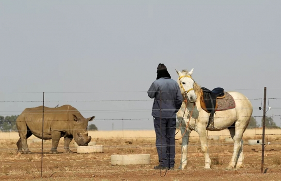 10 Cai Gia Phai Tra De Duoc Song Giai Cuu Te Giac Nam Phi Bang Cach Cua Sung Cua Chung