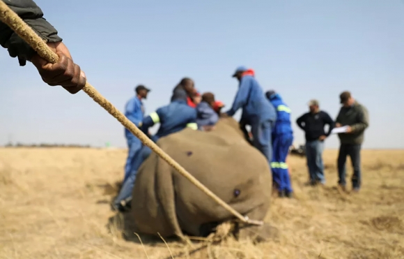 5 Cai Gia Phai Tra De Duoc Song Giai Cuu Te Giac Nam Phi Bang Cach Cua Sung Cua Chung