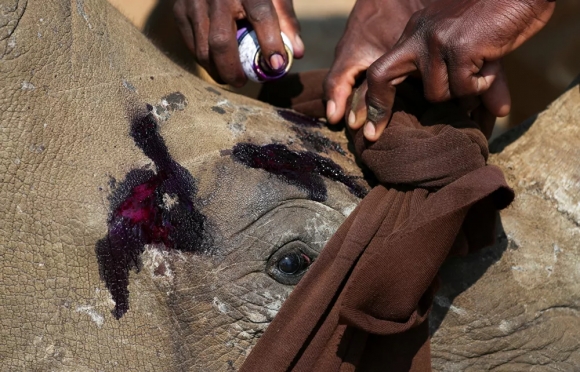 8 Cai Gia Phai Tra De Duoc Song Giai Cuu Te Giac Nam Phi Bang Cach Cua Sung Cua Chung
