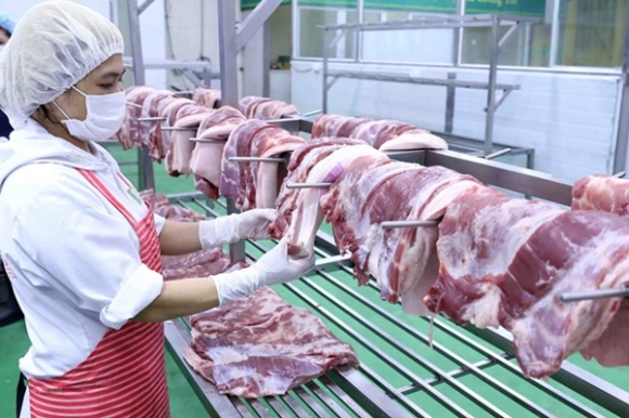 1 Gia Lon Hoi Cham Day 50 Nghinkg Nhung Ra Den Cho Van Dat Gap Ba