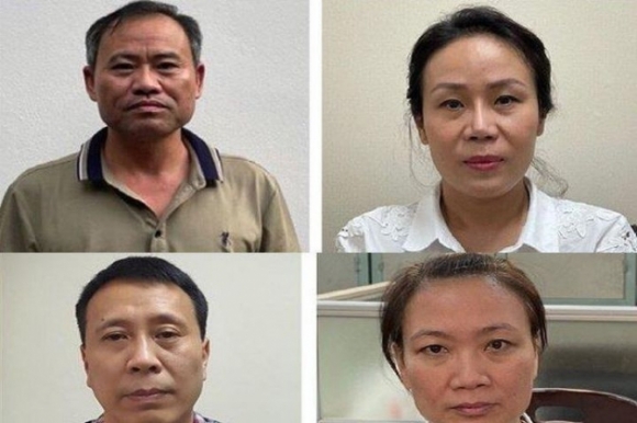 1 Nang Khong Hang Chuc Ty Dong Gia Cay Xanh O Ha Noi Khoi To 4 Bi Can