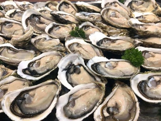 1 Tu Vong Vi An Hau Song