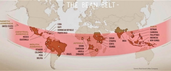 1 Viet Nam   Nha San Xuat Ca Phe Lon Thu Hai Cua The Gioi