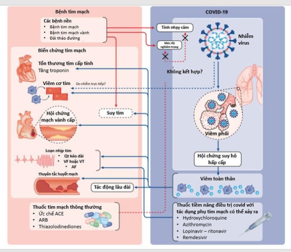 5 Khoang 50 Trieu Chung Hau Covid Tho Gap Ho Nhuc Dau Tram Cam Va Gi Nua