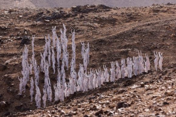 5 Hang Tram Nguoi Khoa Than De Canh Bao Ve Bien Chet