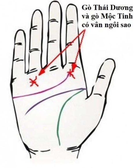 5 Cach Tu Xem Duong Chi Tay Tai Van Biet Ai Huong So Phu Quy Ai Ca Doi Lam An Chat Vat