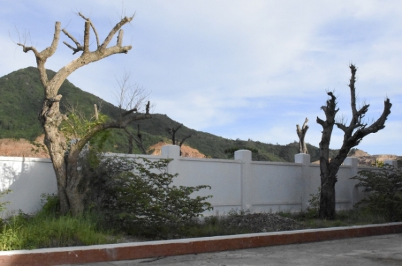 5 Tru So 100 Ty Cua Cuc Thue Binh Dinh Bo Hoang Sau 2 Nam Hoan Thanh