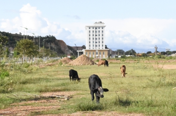 8 Tru So 100 Ty Cua Cuc Thue Binh Dinh Bo Hoang Sau 2 Nam Hoan Thanh