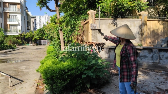 2 Vu Giet Chu No O Hai Duong 2 Vo Chong Cao Tai Nang 3 Lan Len Ha Noi Cao Tay Xoa Dau Vet Chiec O To Cua Nan Nhan The Nao