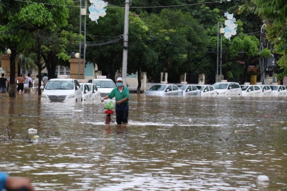 4 Mua Lon Lam Sat Lo Nui Ngap Nang O Quy Nhon
