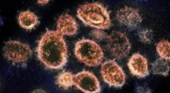 2 Cuoc Tim Kiem Nhung Nguoi Mien Dich Covid 19 Bam Sinh