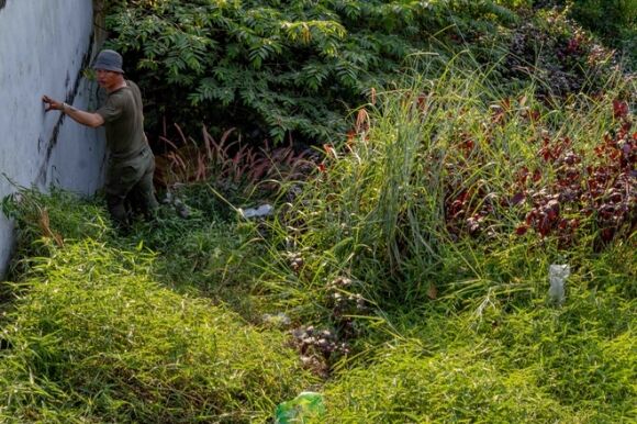 2 Chuyen Ve Nhung Manh Doi Song Duoi Gam Cau 4 Thang De Tron Covid 19