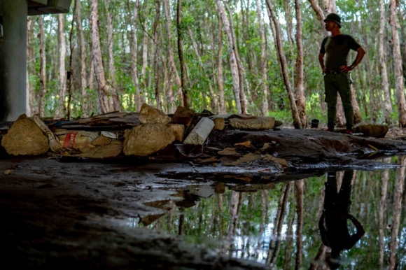 5 Chuyen Ve Nhung Manh Doi Song Duoi Gam Cau 4 Thang De Tron Covid 19