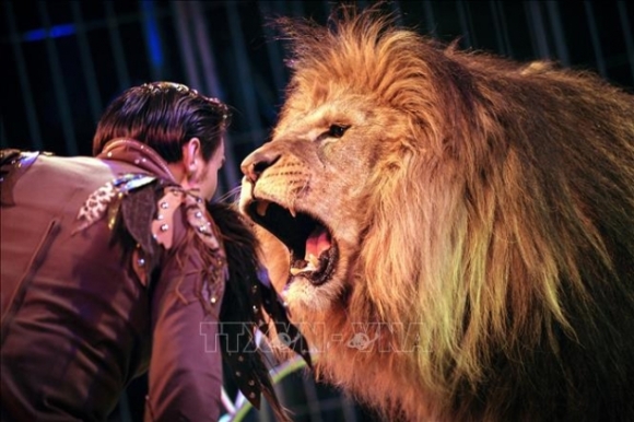 1 Phap Siet Chat Viec Su Dung Dong Vat Hoang Da Trong Bieu Dien Xiec