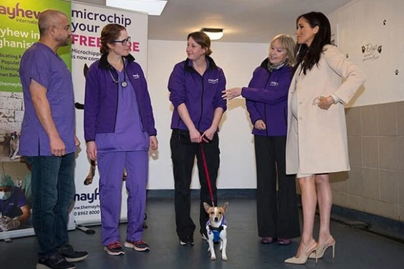 3 Meghan Va Ban Than Tai Tieng Bi Ke Thu Khong Doi Troi Chung Nhac Lai Qua Khu Dang Xau Ho Voi Biet Danh Sao Choi