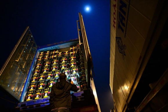 8 Trang Dem Nhich Xe Vao Bai Xuat Hang O Cua Khau Tan Thanh