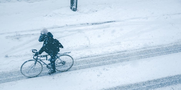 1 Nguoi Viet O Troi Tay Xu Tuyet Trang Viec Nhieu Luong Cao Toi Xac Dinh Qua Day Cay Vi Con