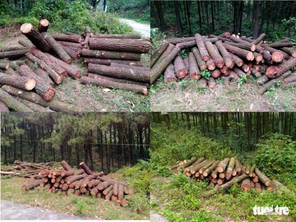 2 Thong Hang Chuc Nam Tuoi Lien Tiep Bi Chat Nguoi Dan Bat Binh