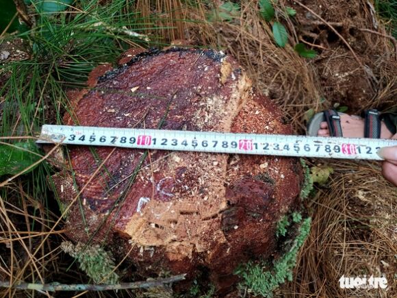 3 Thong Hang Chuc Nam Tuoi Lien Tiep Bi Chat Nguoi Dan Bat Binh