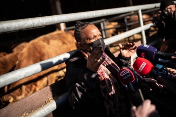 1 Canh Ta Phap Chia Re Sau Sac Truoc Them Bau Cu Tong Thong