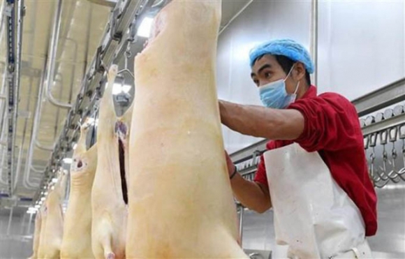 2 Dai Dich Covid 19 Tac Dong Keo Dai Len Thi Truong Lao Dong