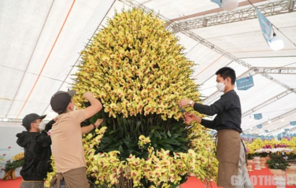 1 Chau Lan Ho Diep Khong Lo Gay Sot Voi Gia Hon 860 Trieu O Ha Noi