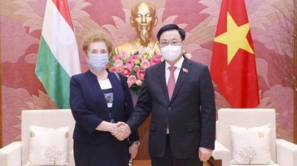 1 Day Manh Hop Tac Viet Nam   Hungary