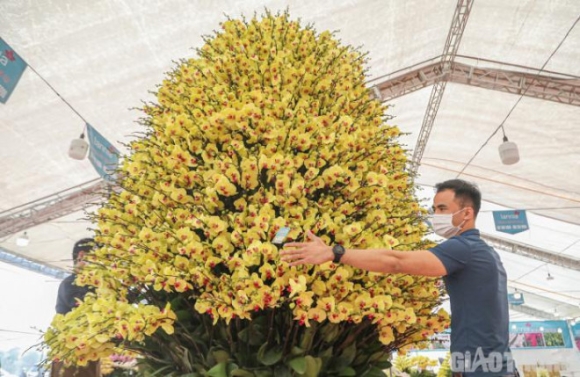 2 Chau Lan Ho Diep Khong Lo Gay Sot Voi Gia Hon 860 Trieu O Ha Noi