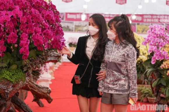 5 Chau Lan Ho Diep Khong Lo Gay Sot Voi Gia Hon 860 Trieu O Ha Noi