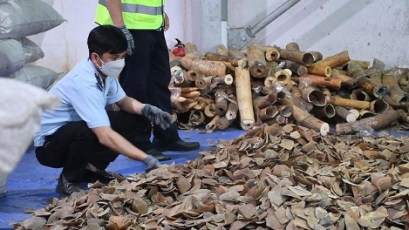 6 Nhung Duong Day Buon Vang Tien Usd Va Hang Nong Bi Chan Dung Dip Sat Tet