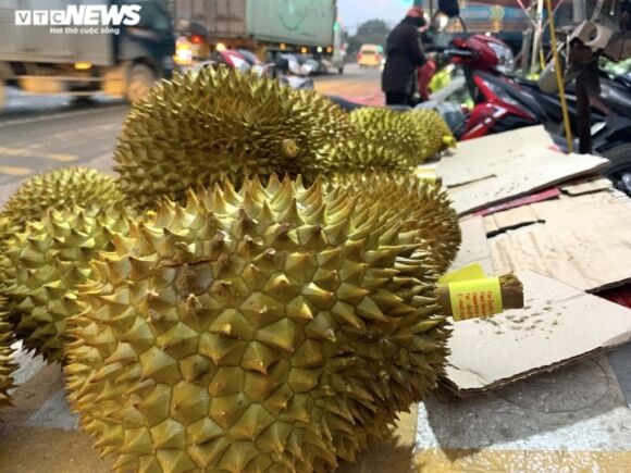 6 Ban Thao Hang Chuc Tan Mit Dua Hau Thanh Long Gia Re O Le Duong Lang Son