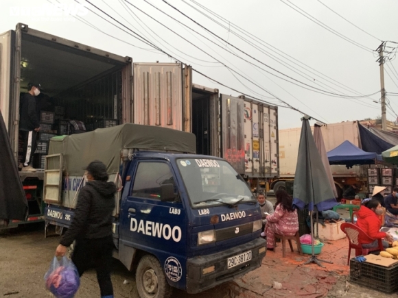 8 Ban Thao Hang Chuc Tan Mit Dua Hau Thanh Long Gia Re O Le Duong Lang Son