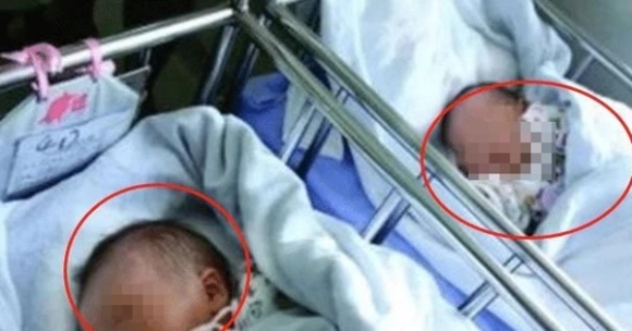 2 Con Cang Lon Cang Giong Hang Xom Ong Bo Len Di Kiem Tra Adn Thi Nhan Ket Qua Giat Minh