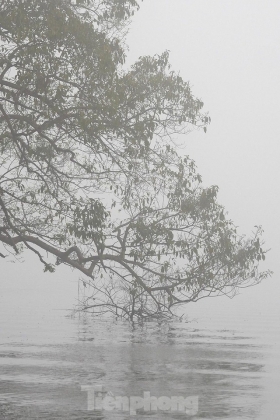 3 Ngo Ngang Hinh Anh Ha Noi Suong Giang Khap Loi Nhu Sa Pa