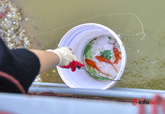 13 Nguoi Dan Ra Ho Tay Cau Long Bien Tha Ca Chep Tien Ong Tao